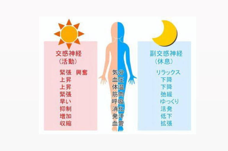 535091EA-04BB-4EE9-BB54-D8DF8A5AEAFE