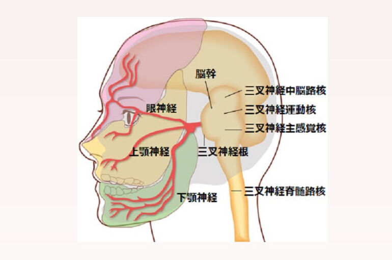 4C0AA96B-F08F-41B6-AA38-061B4413AD54