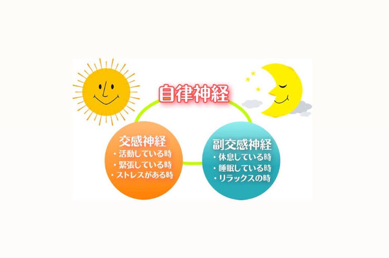 33CC765D-391B-4A69-8ABD-37997CFE9D10